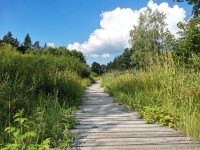 Okolo Svratky (foto 4)