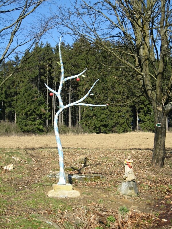 Pramen Moravské Dyje (foto 1)