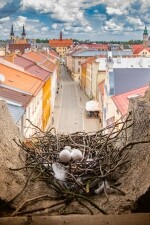 Vyhlídková Brána Matky Boží Jihlava (foto 2)