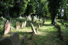 Židovský hřbitov Humpolec (foto 2)