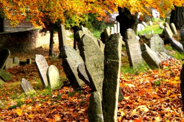 Židovský hřbitov Třešť (foto 1)