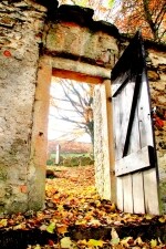 Židovský hřbitov Třešť (foto 4)