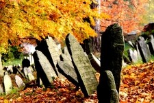 Židovský hřbitov Třešť (foto 6)