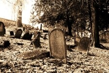 Židovský hřbitov Třešť (foto 7)