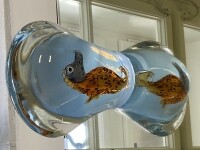 Horácká galerie v Novém Městě na Moravě (foto 3)