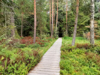 Cycling route EUROVELO 4 + PRAGUE ROUTE (photo 5)