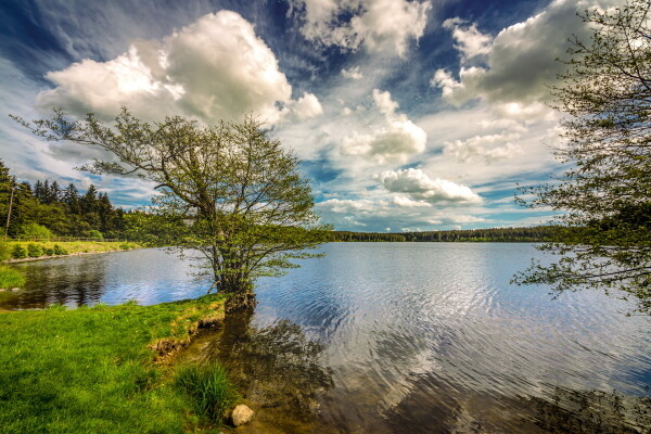 Na Fryšavský kopec (foto 1)