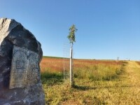 Novoměstskem za uměním (foto 5)