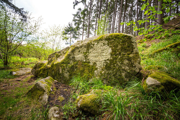 Mezi rybníky a lesy (foto 1)