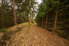 Mezi rybníky a lesy (foto 2)