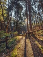 S Doubravkou Železnými horami: geocyklotrasou za pamětí stromových velikánů (foto 2)