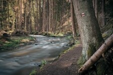 S Doubravkou Železnými horami: geocyklotrasou za pamětí stromových velikánů (foto 3)