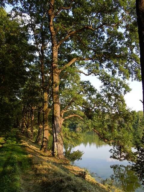 FROM PELHŘIMOV TO KŘEMEŠNÍK AN OBSERVATION TOWER AND ROPE PARK (photo 1)