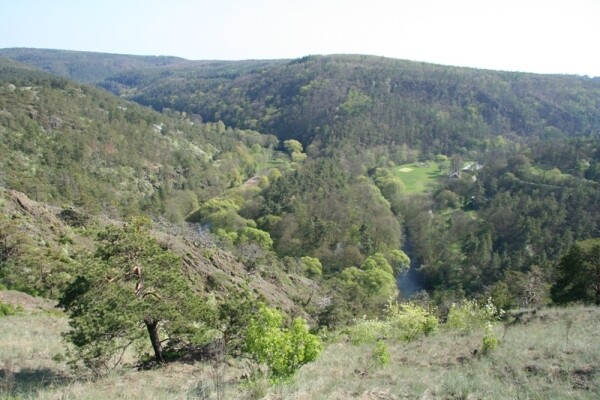 Národní přírodní rezervace Mohelenská hadcová step (foto 1)