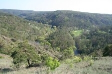Nature trail Mohelenská hadcová step (Mohelno serpentine steppe) (photo 2)