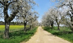 Okolím Jaroměřic nad Rokytnou na zámek a do pivovaru (foto 3)