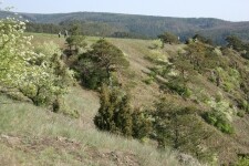 Nature trail Mohelenská hadcová step (Mohelno serpentine steppe) (photo 3)