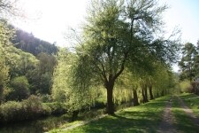 Nature trail Mohelenská hadcová step (Mohelno serpentine steppe) (photo 4)
