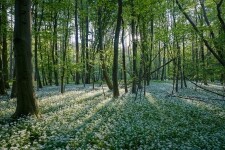 Z Hrotovic údolím Rokytné (foto 4)