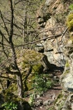 Naučná stezka Mohelenská hadcová step (foto 2)