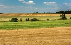 Z Moravských Budějovic do Jemnice přes lesy, louky a vesničky (foto 5)