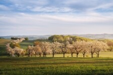 Z Třebíče na kole k nejvýše položeným vinicím na Moravě (foto 4)