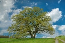 Za výhledy pod Klučovskou horu (foto 4)