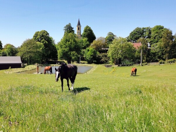 K Lučnímu baru u dráčka Poplety (foto 1)