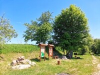 K Lučnímu baru u dráčka Poplety (foto 2)