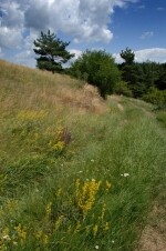 Přírodní park Střední Pojihlaví (foto 2)