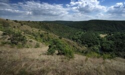 Přírodní park Střední Pojihlaví (foto 3)