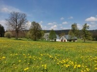 Novoměstskem od severu k jihu (foto 3)