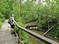 Okolo Žďáru za přírodou, historií i zábavou (foto 2)