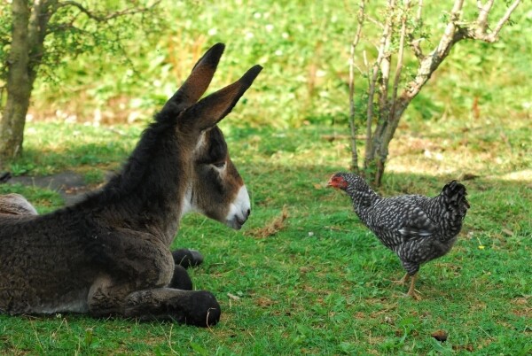 Z Bystřice na Borovinku (foto 1)