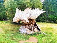 Kolem nejvýše položených rybníků Vysočiny (foto 4)