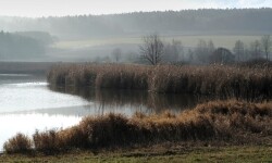 Přírodní park Bohdalovsko (foto 3)