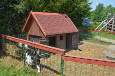 K Velkému Dářku s dětmi (foto 4)