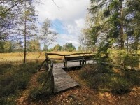 K pramenu Doubravy (foto 2)