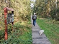 K pramenu Doubravy (foto 3)