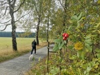 K pramenu Doubravy (foto 4)