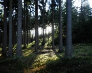 Přírodní park Čeřínek (foto 3)