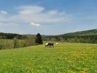 Po skalách Žďárských vrchů (foto 5)
