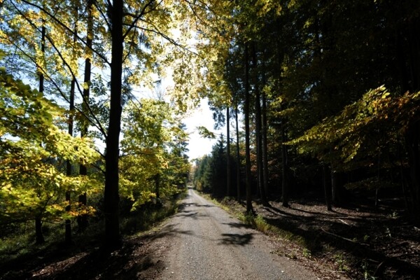 Přírodní park Čeřínek (foto 1)