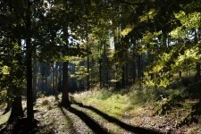 Přírodní park Čeřínek (foto 4)