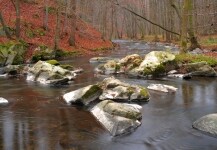 Přírodní park Doubrava (foto 2)