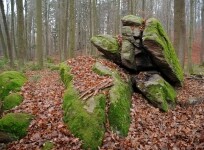 Přírodní park Doubrava (foto 4)