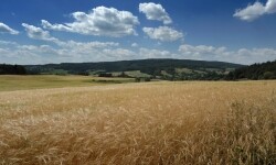 Přírodní park Melechov (foto 2)