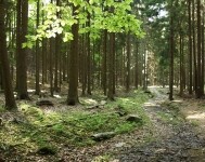 Přírodní park Melechov (foto 4)