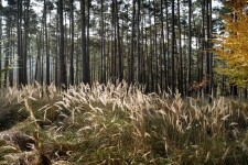 Přírodní park Rokytná (foto 2)