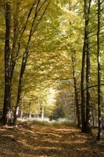 Přírodní park Rokytná (foto 3)